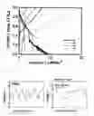 Fig. 03 - Lithium battery and manufacturing method thereof