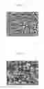 Fig. 06 - Method of preparing toner and toner prepared using the method