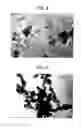Fig. 05 - Image forming method