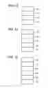 Fig. 09 - Image forming method