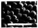 Fig. 01 - Toner particles of controlled morphology