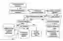 Fig. 01 - Methods for identification of sepsis-causing bacteria