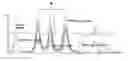 Fig. 01 - Methods and Kits for Detection of Chromosome Aneuploidy by High Performance Liquid Chromatography with Post-Column Fluorescence Detection