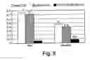 Fig. 09 - METHOD FOR EFFICIENTLY DETECTING DOUBLE-STRANDED NUCLEIC ACID