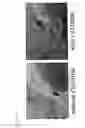 Fig. 09 - Encapsulated cell indicator system
