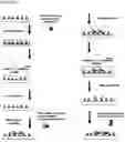 Fig. 05 - Molecular microarrays and helical peptides