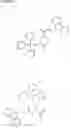 Fig. 06 - Molecular microarrays and helical peptides
