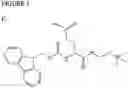Fig. 07 - Molecular microarrays and helical peptides
