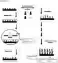 Fig. 10 - Molecular microarrays and helical peptides