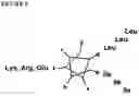Fig. 11 - Molecular microarrays and helical peptides