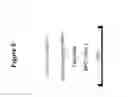 Fig. 06 - Expression of HLA proteins on non human cells