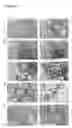 Fig. 02 - Islet Cells from Human Embryonic Stem Cells