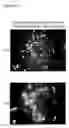 Fig. 06 - Islet Cells from Human Embryonic Stem Cells