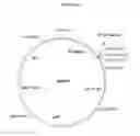 Fig. 02 - Methods and materials for expression of a recombinant protein