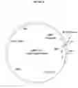 Fig. 04 - Methods and materials for expression of a recombinant protein