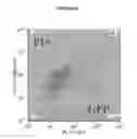Fig. 09 - Methods and materials for expression of a recombinant protein