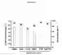 Fig. 10 - Methods and materials for expression of a recombinant protein