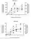 Fig. 16 - Methods and materials for expression of a recombinant protein