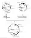 Fig. 01 - Methods and Materials for Increasing Expression of Recombinant Polypeptides