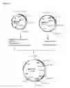 Fig. 06 - Methods and Materials for Increasing Expression of Recombinant Polypeptides
