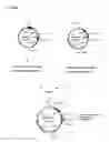 Fig. 10 - Methods and Materials for Increasing Expression of Recombinant Polypeptides