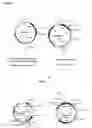 Fig. 12 - Methods and Materials for Increasing Expression of Recombinant Polypeptides