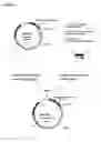 Fig. 15 - Methods and Materials for Increasing Expression of Recombinant Polypeptides