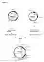 Fig. 18 - Methods and Materials for Increasing Expression of Recombinant Polypeptides