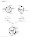 Fig. 19 - Methods and Materials for Increasing Expression of Recombinant Polypeptides