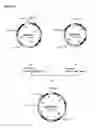 Fig. 21 - Methods and Materials for Increasing Expression of Recombinant Polypeptides