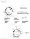 Fig. 27 - Methods and Materials for Increasing Expression of Recombinant Polypeptides