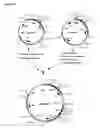Fig. 37 - Methods and Materials for Increasing Expression of Recombinant Polypeptides