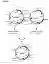 Fig. 38 - Methods and Materials for Increasing Expression of Recombinant Polypeptides