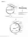 Fig. 43 - Methods and Materials for Increasing Expression of Recombinant Polypeptides