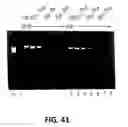 Fig. 43 - Polymerase enhancing factor (PEF) extracts, PEF protein complexes, isolated PEF protein, and methods for purifying and identifying