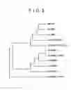 Fig. 04 - Factor Taking Part in Transcription Control