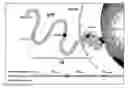 Fig. 01 - Methods for measuring the metabolism of neurally dervied biomolecules in vivo