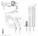 Fig. 07 - Methods for measuring the metabolism of neurally dervied biomolecules in vivo