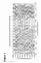 Fig. 10 - Methods for measuring the metabolism of neurally dervied biomolecules in vivo