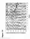 Fig. 19 - Methods for measuring the metabolism of neurally dervied biomolecules in vivo