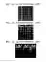 Fig. 13 - Method of manufacturing semiconductor device having buried gate