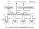 Fig. 05 - Open wireless architecture virtualization system for wireless mobile terminal device