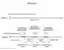 Fig. 07 - Accounting control method and device