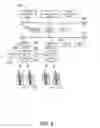 Fig. 07 - TANDEM TRANSMISSION OF DATA OVER SIGNALING AND PAGING