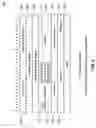 Fig. 04 - TCP over SMS