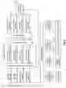 Fig. 06 - Cellular telephone IC and applications thereof