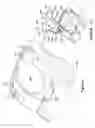 Fig. 06 - Speaker clearance arrangement for a communication device