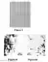 Fig. 04 - Composite materials and method of its manufacture