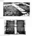 Fig. 04 - Method and compositions for improving plant growth