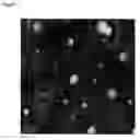 Fig. 02 - Aqueous Polymer Dispersions Comprising Effect Substances, Processes For Preparing Them And Their Use